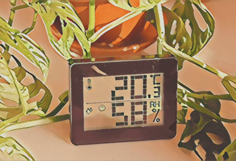 Best Greenhouse Thermometer Hygrometer in 2024